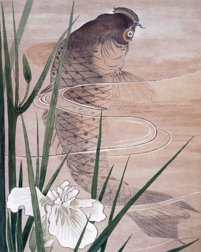 Vis door C. F. Kell